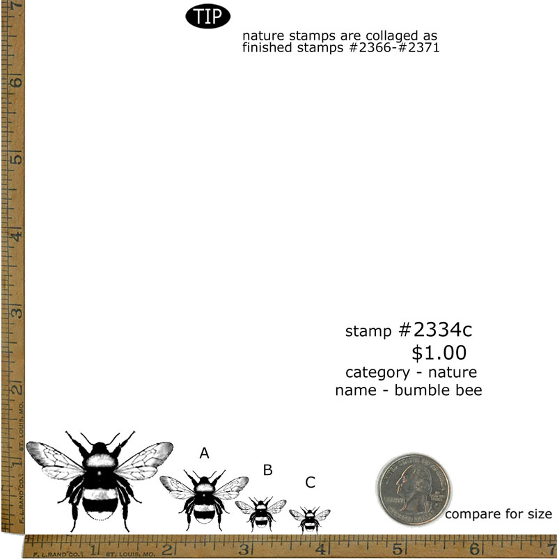 #2334c - Bumble Bee - Nature